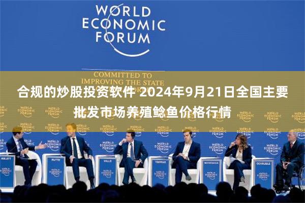 合规的炒股投资软件 2024年9月21日全国主要批发市场养殖鲶鱼价格行情