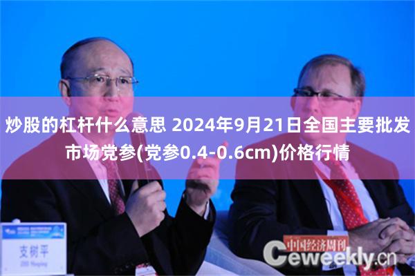 炒股的杠杆什么意思 2024年9月21日全国主要批发市场党参(党参0.4-0.6cm)价格行情