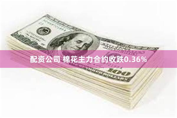 配资公司 棉花主力合约收跌0.36%