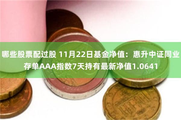 哪些股票配过股 11月22日基金净值：惠升中证同业存单AAA指数7天持有最新净值1.0641