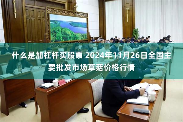 什么是加杠杆买股票 2024年11月26日全国主要批发市场草菇价格行情