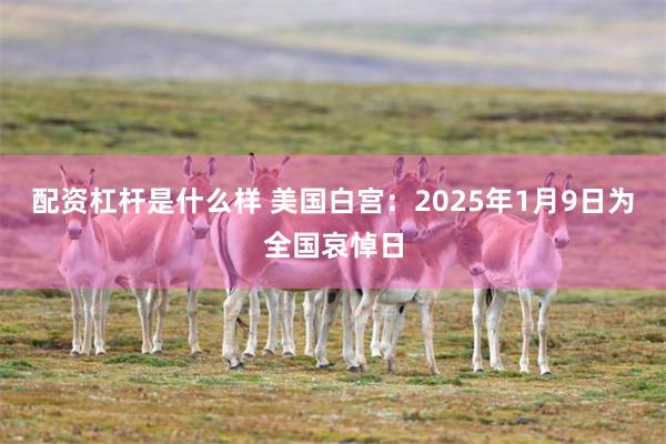 配资杠杆是什么样 美国白宫：2025年1月9日为全国哀悼日