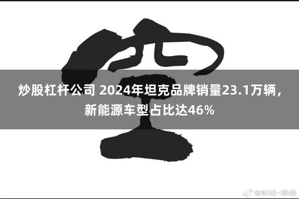 炒股杠杆公司 2024年坦克品牌销量23.1万辆，新能源车型占比达46%