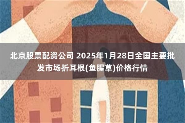 北京股票配资公司 2025年1月28日全国主要批发市场折耳根(鱼腥草)价格行情