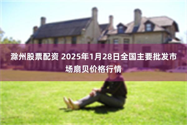 滁州股票配资 2025年1月28日全国主要批发市场扇贝价格行情