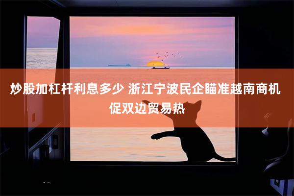 炒股加杠杆利息多少 浙江宁波民企瞄准越南商机 促双边贸易热