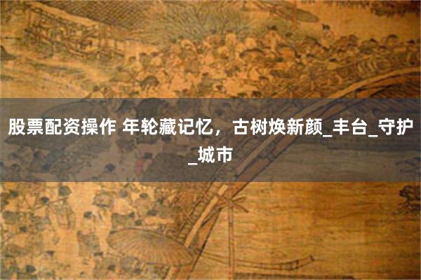 股票配资操作 年轮藏记忆，古树焕新颜_丰台_守护_城市