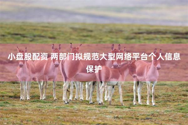 小盘股配资 两部门拟规范大型网络平台个人信息保护